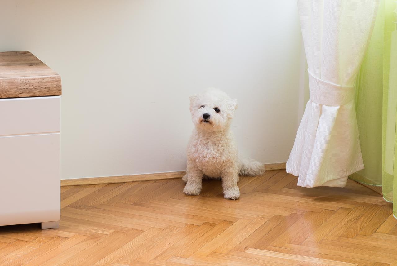 Apartman Zagreb Mandic Luaran gambar